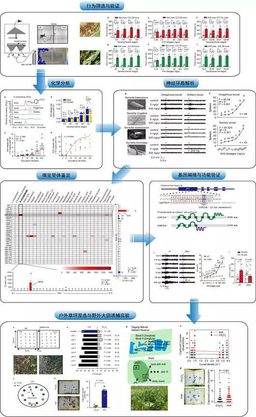 從信息系統(tǒng)集成視角看蝗災(zāi)成因 科學(xué)揭示與防治啟示